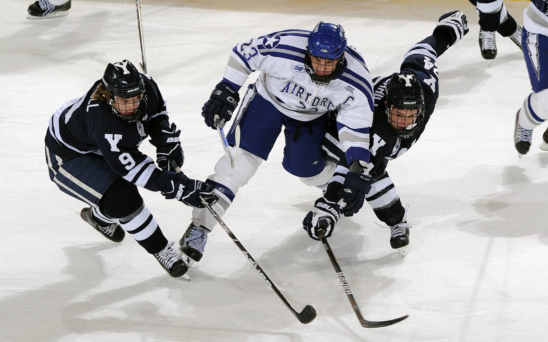 跨界赛场同日见证主宰时刻，雄鹿生死战破局，塔图姆意甲焦点战接管比赛